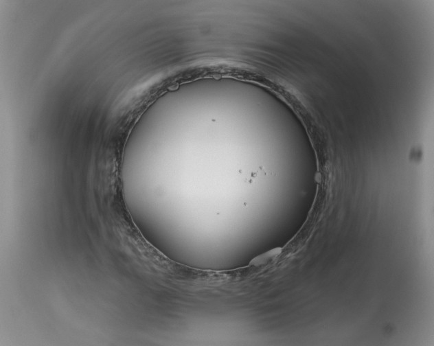 X0000113121111200909111133