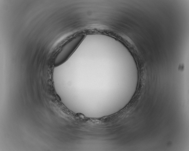 X0000113121112200909111133