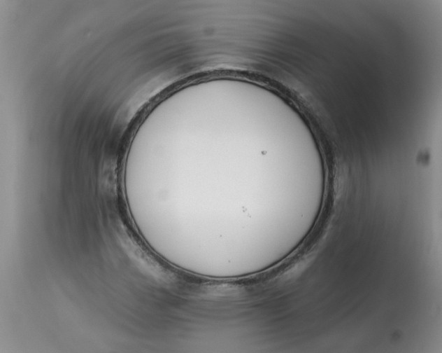 X0000113121113200909111133