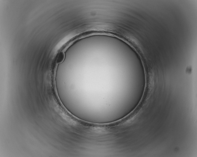 X0000113121114200909111133