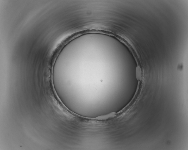 X0000113121115200909111133