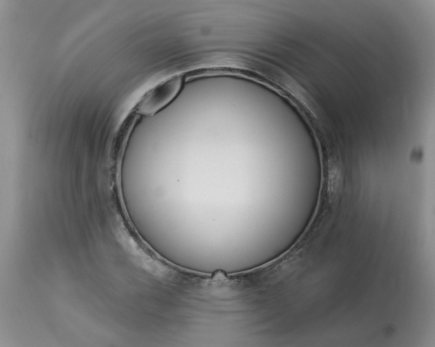 X0000113121116200909111133