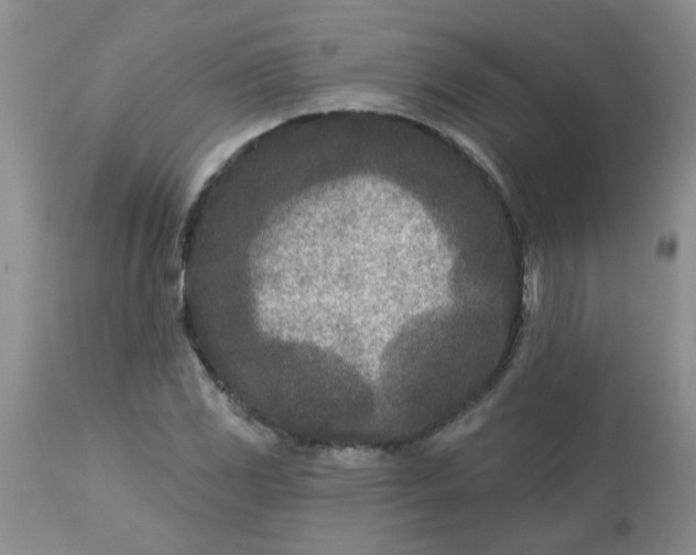 X0000113121117200909111133