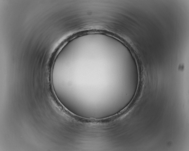 X0000113121118200909111133