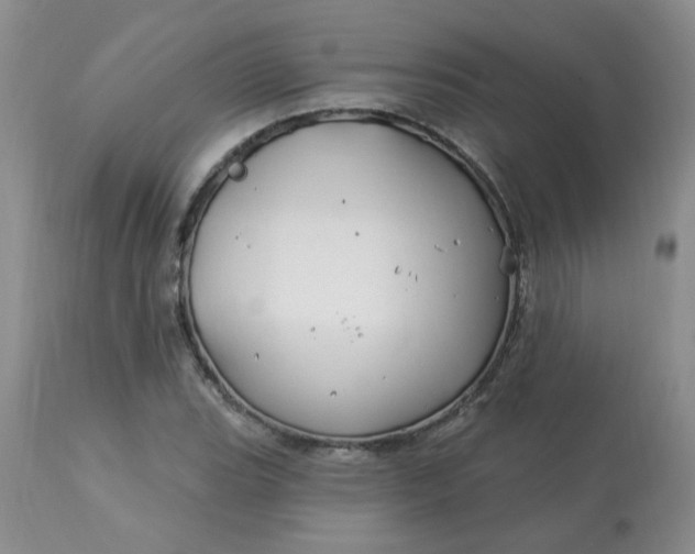 X0000113121119200909111133