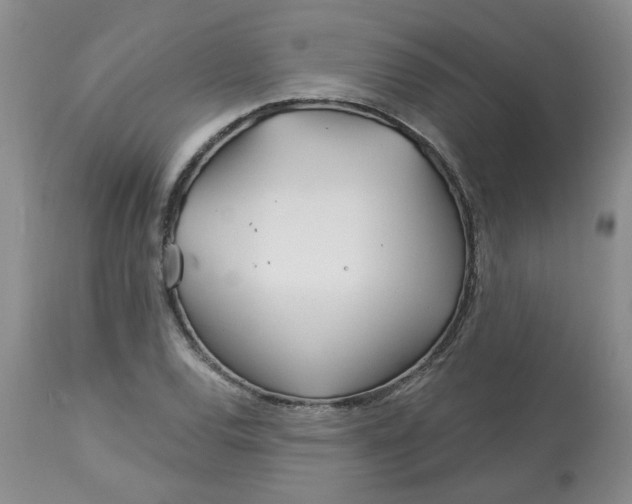 X0000113121120200909111133