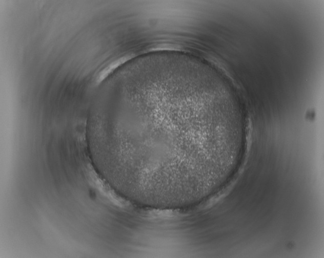 X0000113121121200909111133