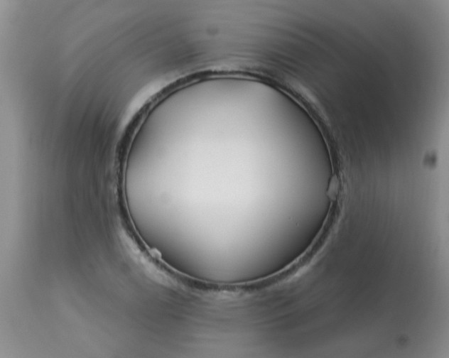 X0000113121122200909111133