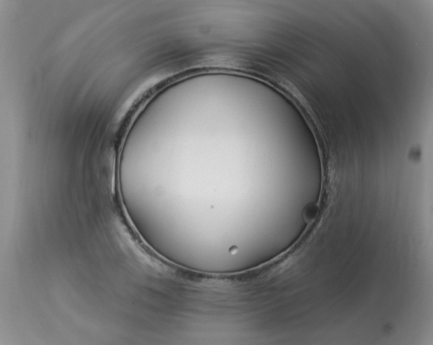 X0000113121123200909111133