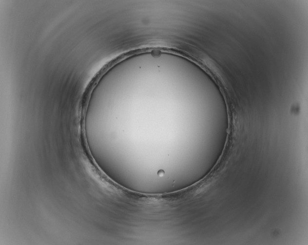 X0000113121124200909111133