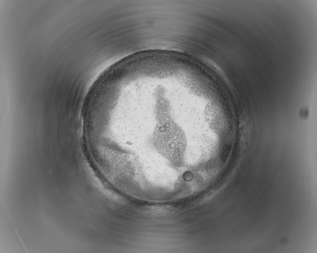 X0000113121125200909111133