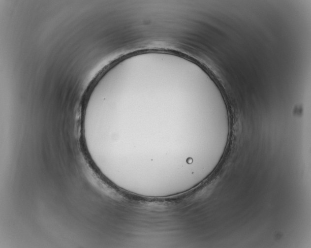 X0000113121126200909111133