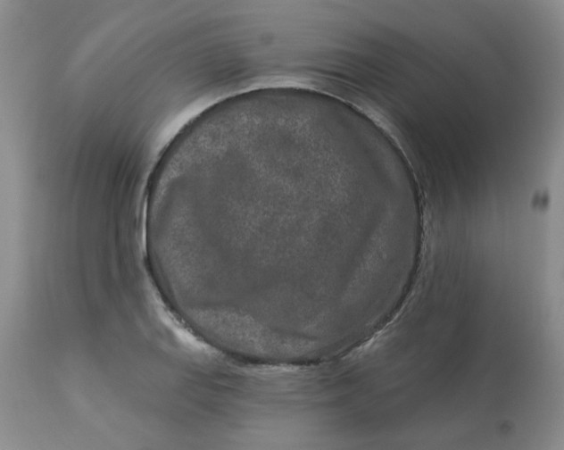 X0000113121127200909111133