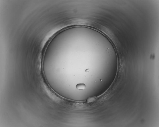 X0000113121128200909111133