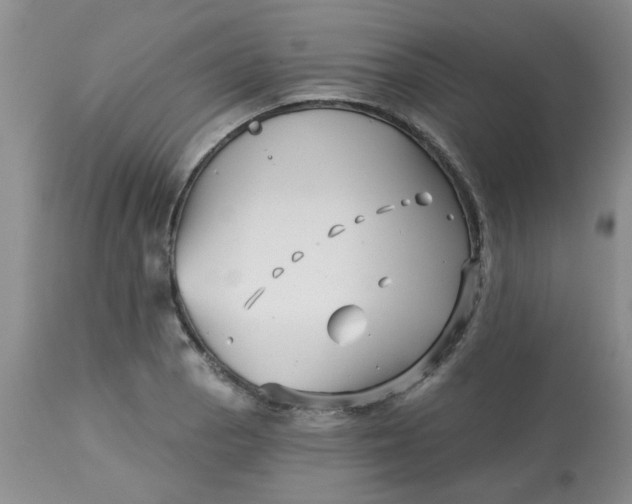 X0000113121129200909111133