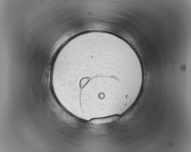 X0000113121130200909111133