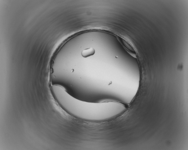 X0000113121132200909111133