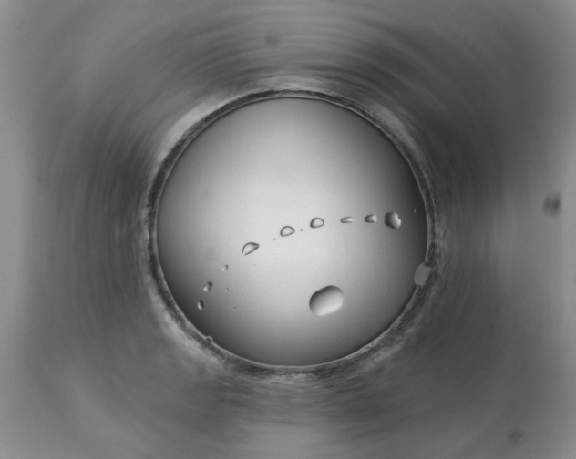 X0000113121133200909111133