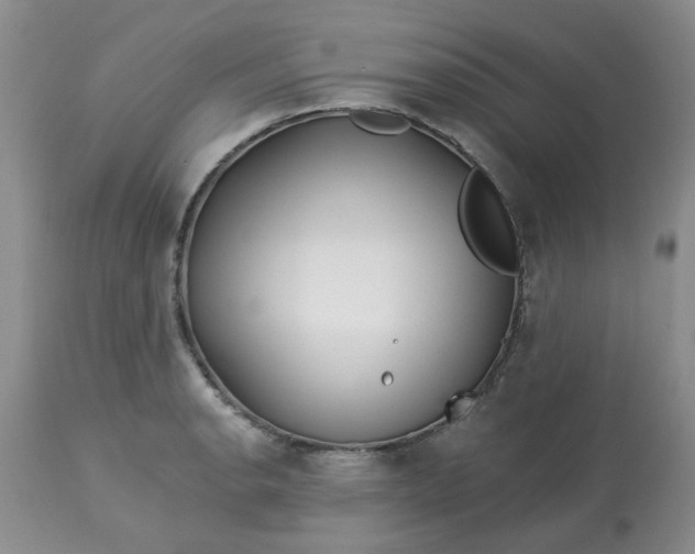 X0000113121134200909111133