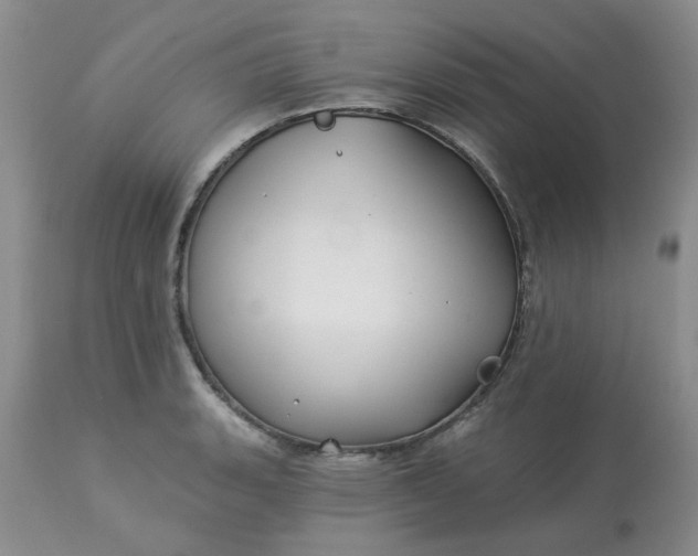 X0000113121135200909111133