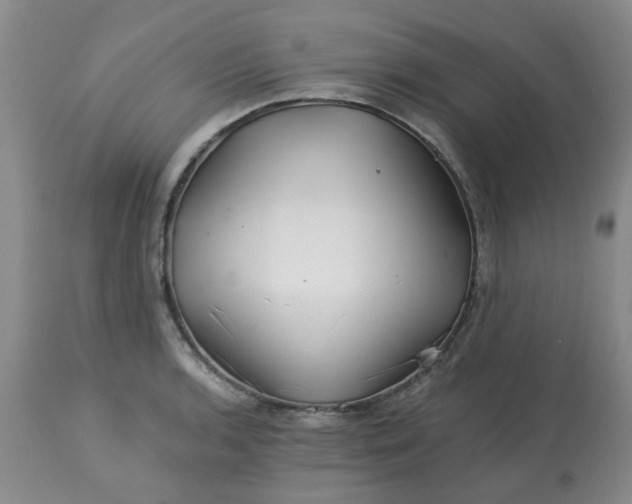 X0000113121136200909111133