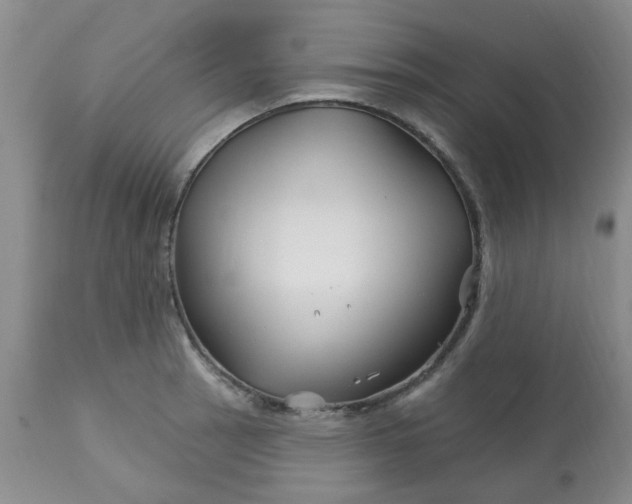 X0000113121137200909111133