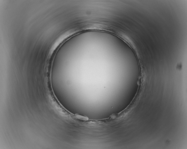 X0000113121138200909111133