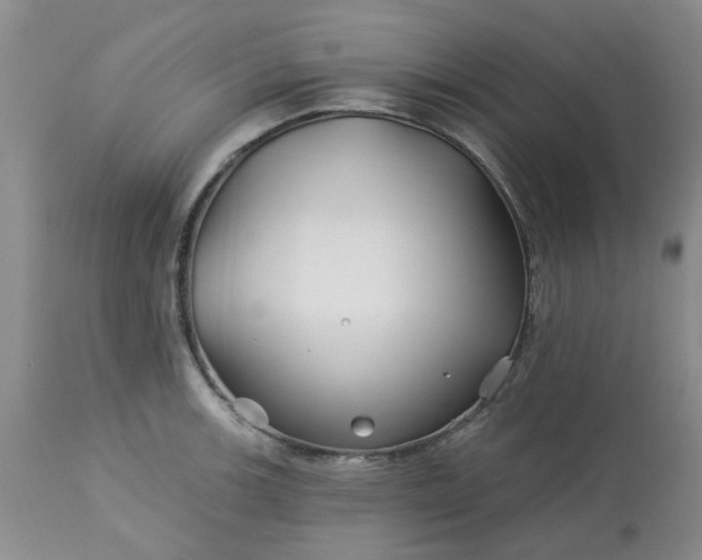 X0000113121139200909111133