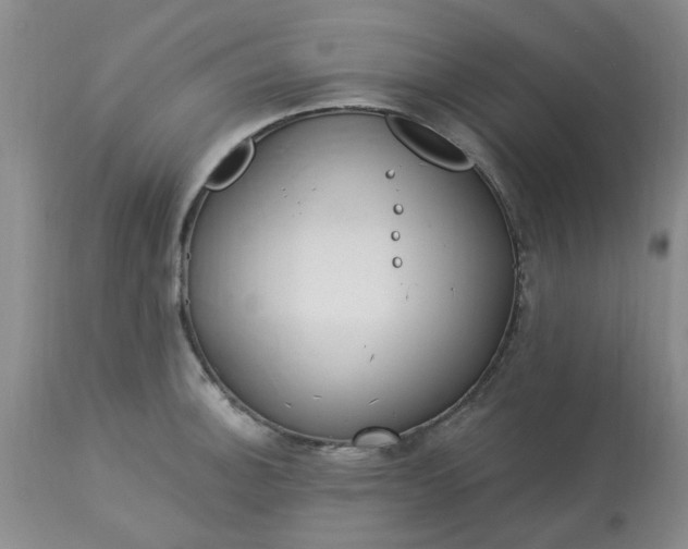 X0000113121140200909111133