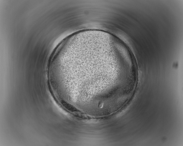 X0000113121141200909111133