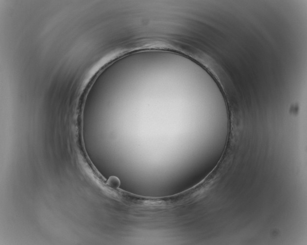 X0000113121142200909111133