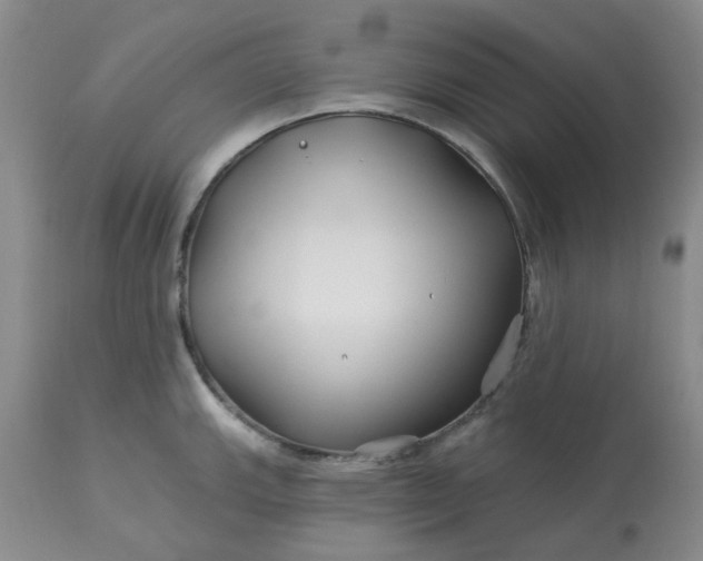 X0000113121143200909111133