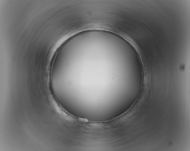 X0000113121144200909111133