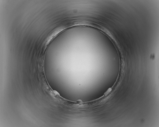 X0000113121145200909111133