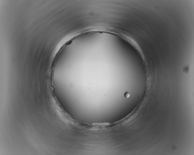 X0000113121146200909111133