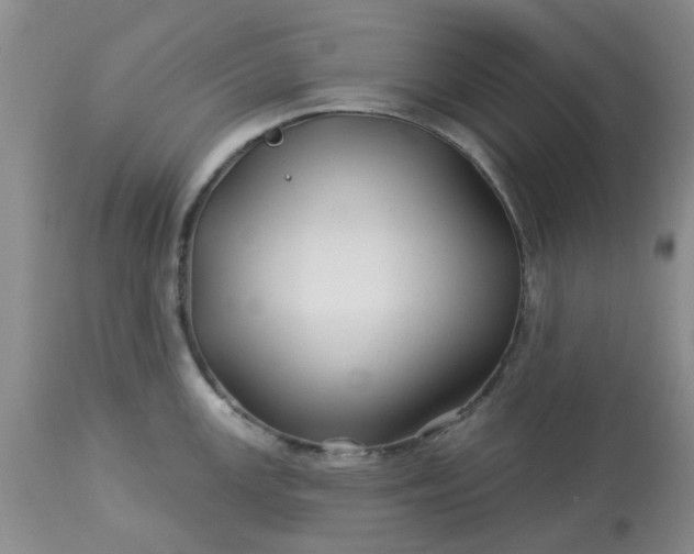 X0000113121147200909111133