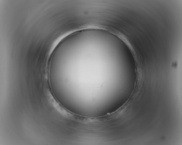 X0000113121148200909111133