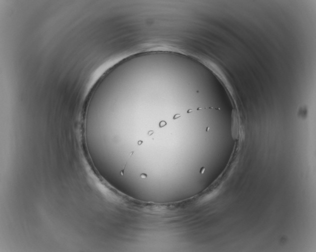 X0000113121149200909111133