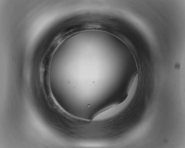 X0000113121151200909111133