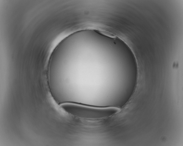 X0000113121152200909111133