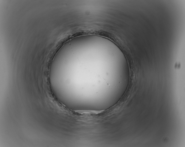 X0000113121153200909111132