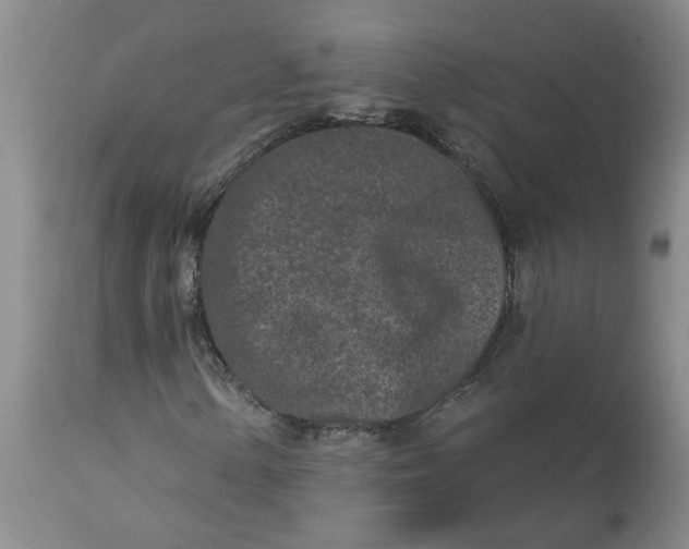 X0000113121154200909111132