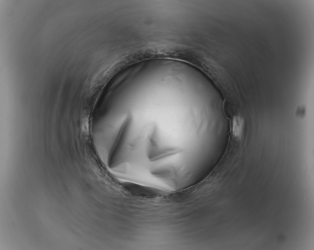 X0000113121155200909111132