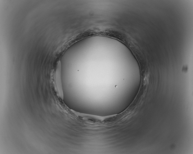 X0000113121156200909111132