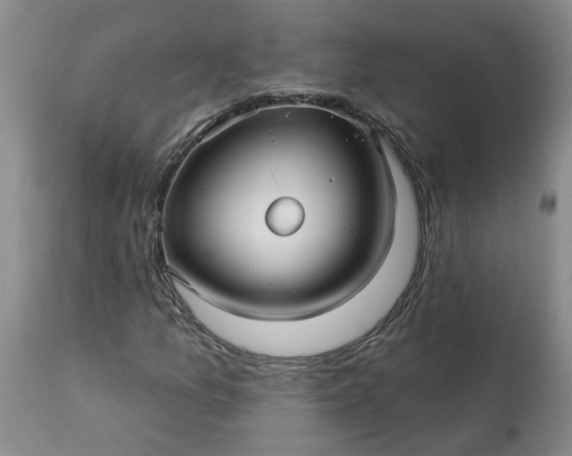 X0000113121157200909111132