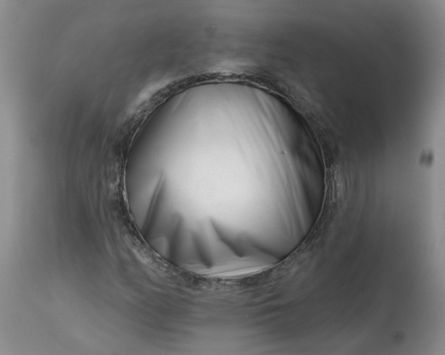 X0000113121158200909111132