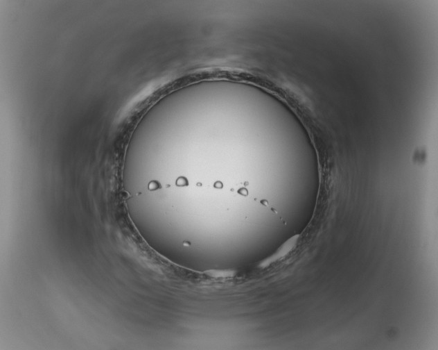 X0000113121159200909111132