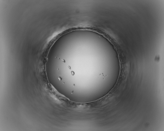 X0000113121160200909111132