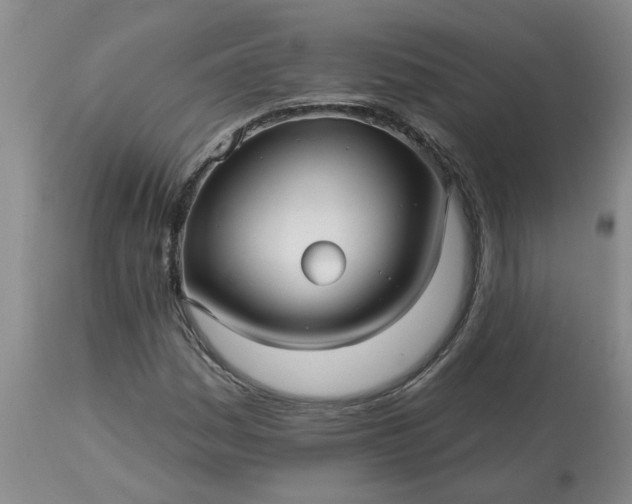 X0000113121161200909111132