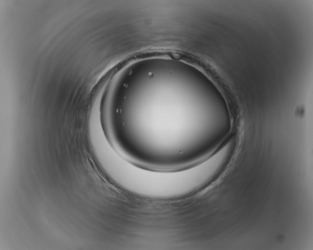 X0000113121162200909111132